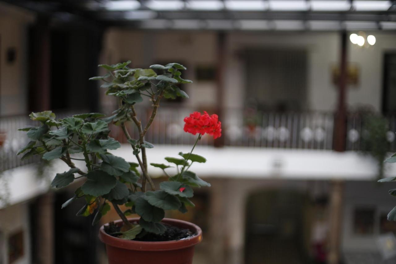 San Marcos Cultural & Guesthouse Κίτο Εξωτερικό φωτογραφία